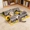 Natural Plan Puss Tunnel and Rest Mat for Play Hide Jump Sleep Highlighting 4 Cavities Pliable Machine Launderable 40x47 Inches Pliable Tunnel view 2