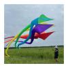 13.0m Large Soft Spinner Windsock Kite Big Huge Easy to Fly(13.0m Rainbow Colors) view 2