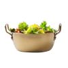 Kids Stainless Steel Bowls - duals Handles Grip, Gold Brushed Finish Soup Basin, Double Ears Stackable Cereal Receptacle, Insulated Metal Food Grade Tableware | Snack Dish for toddlerr & Juniors view 1