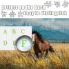 3000 Pieces Jigsaw Puzzle for Adults Horse, Animal Wooden Puzzles with Box, Letter on Back, Challenging Funny Games Crafts for Adults Kits, Family Activity Games, Summer Decor Gifts, (48x32in), 1-7055 view 4