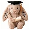 2026 Personalized Graduation Bunny,Custom Embroidered Name Rabbit Plush,Class of 2026 Bunny Stuffed Animal,Graduation Keepsake for Kindergarten,High School or College view 1