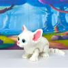 3D Printed Cat Fidget Toys, Realistic Sphynx Cat Figure view 4
