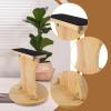 Balance Board Cheerleading Flyer Stand 31.5cm/12.4in Wood Core Strength Training Balance Trainer for Flexibility, Coordination, Gymnastics, Sports, Home Practice view 4