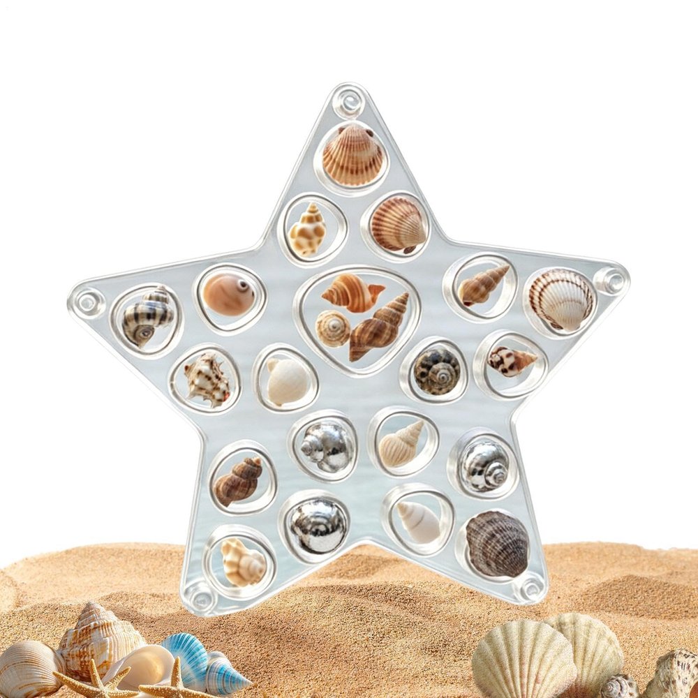 Shell Display Case Clear Decorative Elegant Organizer