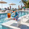 Summer Bikini Desk Goose Outfits, 7 Inch Mini Desktop Goose Clothes with Straw Hat, Sunglasses & Swim Ring, Hawaiian Cute Funny Geese Costume Accessories for Magnetic Geese Party Table Decor (Blue) view 4