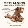 Eververdant Wooden Trebuchet Model Kit for Desk Display, 1:32 3D Puzzle view 3