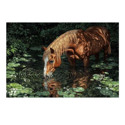 Drinking Water Horse Jigsaw Puzzle for Adults Challenging Adult 500 Pieces Wooden Puzzle Relaxing Leisure Activity Creative Home Wall Decor Gift Family Game