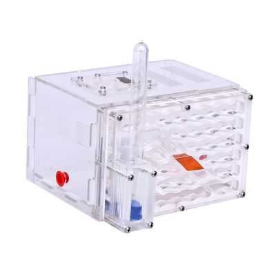 Housing Nest Breeding Case, 3D Transparent Acrylic DIY Habitat Display Box for Science Observation, Educational Gift for Kids