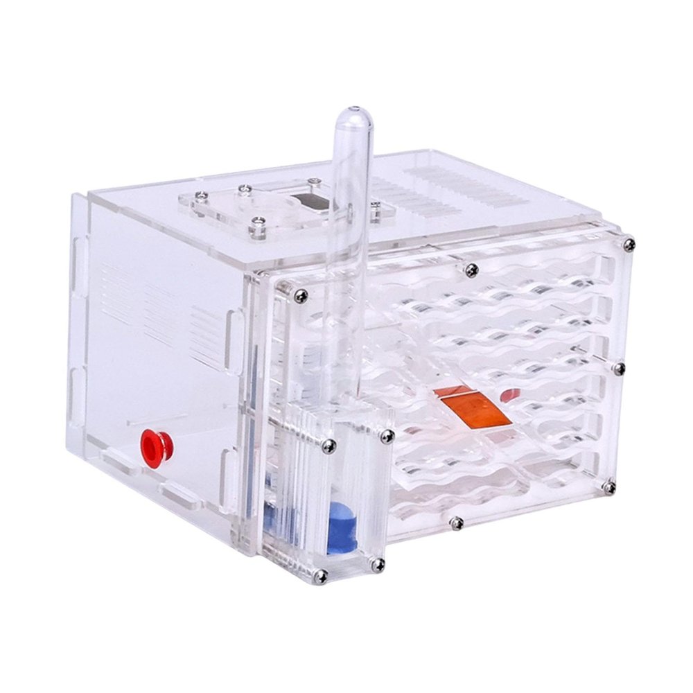 Housing Nest Breeding Case, 3D Transparent Acrylic DIY Habitat Display Box for Science Observation, Educational Gift for Kids