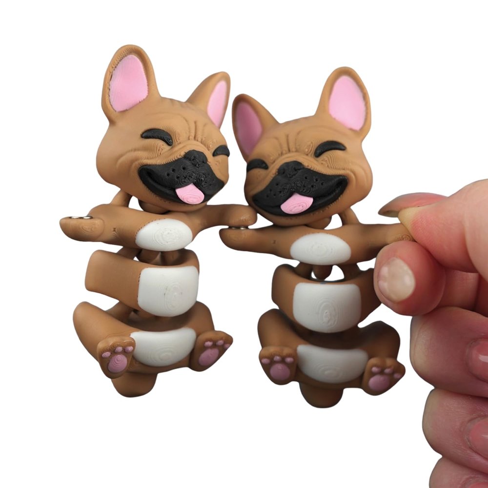 Magnetic Hand-Holding Companion, Fidget Keychain, 3D Printed Animals, Articulated Magnetic Animal Figure Collection, Cute Collectible Magnetic Creatures for Display, Gifts & Desktop Decor