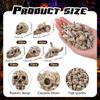 DIYDEC 100pcs Halloween Mini Skulls, 5 Styles Miniature Resin Skeleton Heads Figures to Hide Toys Little Tiny Resin Skulls for Crafts Halloween Party Favors Bag Fillers Garden Dollhouse Decor view 3
