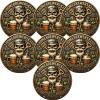 Homebrewers Club Challenge Coin, I Sanitized It Probably Novelty Collectible Coin, Vintage Skull Beer Brewing Token, Pour Decisions Fermentation Coins,Funny Gift for Homebrewer Dad Husband (7pcs) view 1