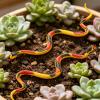 AUNMAS Rubber Snakes, 18 Pcs Lifelike Snake Toy with Detailed Scales for Garden Bird Squirrel Scare Party Prank Decoration (6pcs) view 3