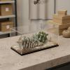 MotiveTech Diorama Snow Covered 1:64 Scale Diorama DIY Craft Display Decor for Collection view 4
