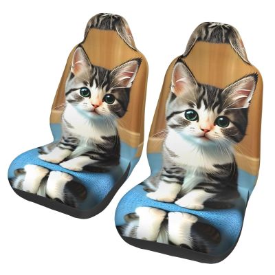 LPLSNWS Bedroom Kitten Patterned, Durable Car Seat Covers, 2-Pack Suitable for Passenger Cars, Trucks, Commercial Vehicles, and Marine Seats