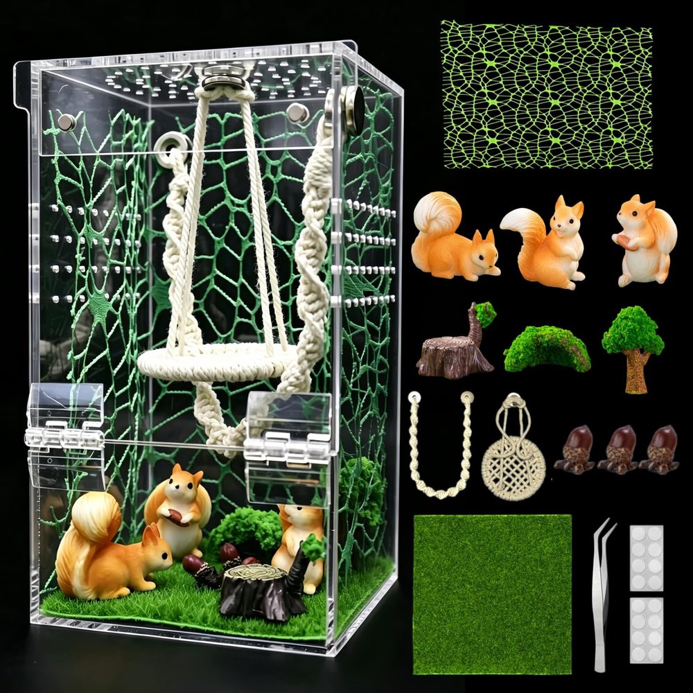 Large Jumping Spider Enclosure Kit, Magnetic Door Praying Mantis Habitat, Transparent Acrylic Arboreal Tarantula and Beetle Terrarium, Insect Cage Starter Container (Squirrel Kingdom)