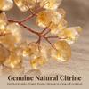 Fatonio Natural Crystal Citrine Bonsai Tree Feng Shui Decor for Home Office view 4