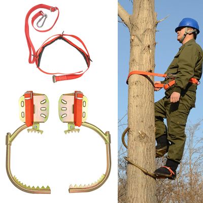 Tree Climbing Spikes, Adjustable Utility Pole Climbing Shoes, High Strength Non-Slip Gear for Jungle Work and Electrician Applications