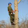 Tree Climbing Spikes, Adjustable Utility Pole Climbing Shoes, High Strength Non-Slip Gear for Jungle Work and Electrician Applications view 2