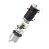 JGB37-31ZY DC 12V24V Geared Motor 10RPM-1270RPM Reduction Gear Motor Large Torque High Power 3157 Brush Motor Reversed Motor(1270RPM_DC 12V) view 2