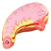 HEQIM Stomach Anatomy Model Human Organ Anatomy Model PVC Material Science Human Anatomy for Research Display view 1
