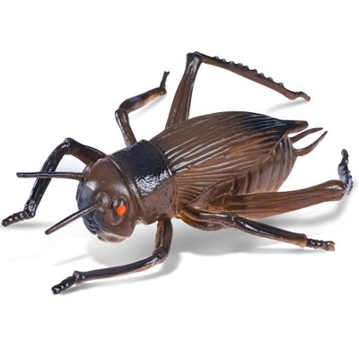 TAABHBU Cricket Noise Maker Prank, Realistic Chirping Cricket