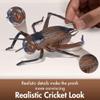 TAABHBU Cricket Noise Maker Prank, Realistic Chirping Cricket view 2