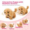 Vet Doctor Kit for Toddlers 3-5, Kids Play Set with Interactive Toy Puppy view 3