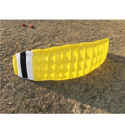yuenhoang 3m RC Paraglider Wing Single Layer Canopy Replacement Electric Powered Paragliding Head for Adult Outdoor Aerobatics Flying (A Type)