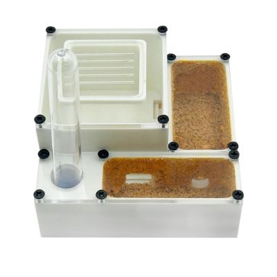 Acrylic Simulation Ant Farm Nest with Feeding Area, Clear Habitat for Ant Colony Observation Ant Habitat(White)