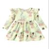 Disney Princess Tiana Toddler Girl Dress Light Green Floral Ruffle Long Sleeve Casual Fall Clothes Cute Kids Outfit Birthday Gift Party Costume 2T view 1