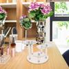 HONMEET Display Stand and Compact Structure Acrylic for Collectible Figures and Perfume with Hexagonal Shape , Exceptional Transparency for Windowsills and Countertops view 4