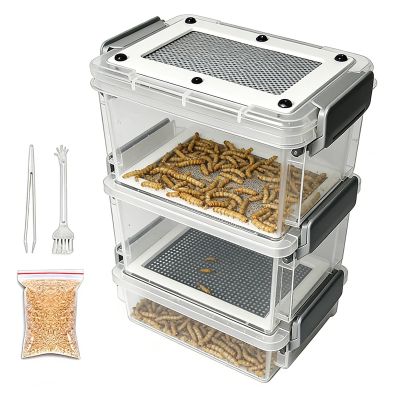 Live Mealworm Breeding Kit Clear Silkworm Breeding Box