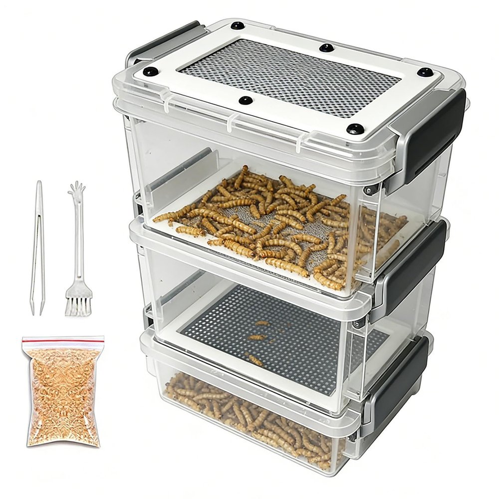 Live Mealworm Breeding Kit Clear Silkworm Breeding Box