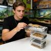 Live Mealworm Breeding Kit Clear Silkworm Breeding Box view 3