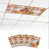 Magnetic Light Cover for Classroom Drop Ceiling, 4 Pack 4x2 Ft Fall Fluorescent Light Covers for Office Home Ceiling Light Cartoon Turkey Pumpkin Maple Checked Plaid Lampshade view 1