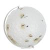 Ciieeo Lunar Globe Moon Surface Model for Stem Education and Geography Learning with Interactive Rotating Design Made of Iron and Plastic Suitable for Classroom Science Teaching view 3