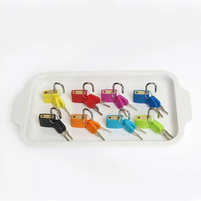 lstyty Montessori Color Matching Lock and Key Toy Set, 8 Colorful Learning Padlocks with Keys, Fine Motor Skill Training Toy