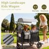 Kinder King Wagon Stroller for 2 Kids, Shock-Absorbing Wheel, Black&Grey view 3