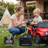 Tapallmy 27mhz Rc Controller 12v Rc Remote for Kids Stable Controller for Ride On Cars view 2