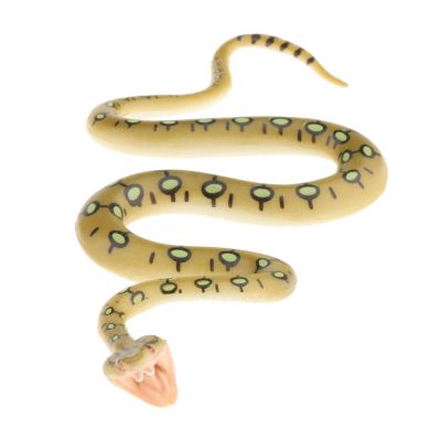 TWTCZOZ 6 Pieces Simulation Snake Action Figure Animal Model Toy Rubber Fake Realistic Lifelike Suitable Play Educational Learnin, Python