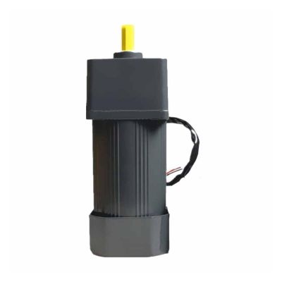 250W 220V AC Gear Fixed Speed Motor 6IK250GN-CF Single Phase Torque Deceleration Asynchronous Motor(12RPM)