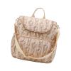 HGENAHGTF Diaper Bag Backpack with Spacious Storage Thermal Bottle Pockets and Travel Friendly Designs Stylish Diaper Bag view 1