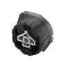 SNPMIRCCY 22316850468 Gearbox Feet At The Rear of The Engine Mount view 1