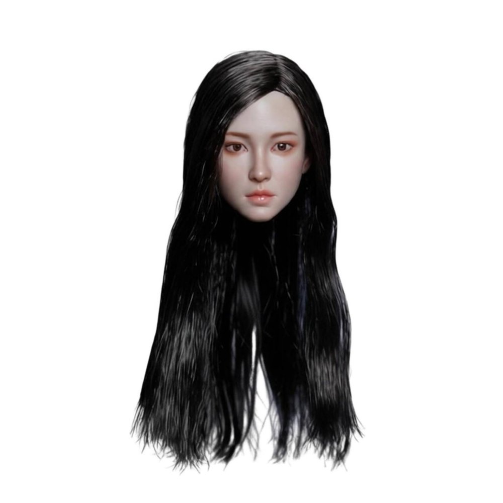 Fxzqgnh 1/6 Female Head Headpiece 12 Inch Female Figure Head Braided Hair for Collecting, Black Long Hair