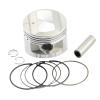 Cylinder for XLR250 for XLR 250 Pin 19mm STD~100 Cylinder Bore Size 74mm 74.25mm 74.5mm 74.75mm 75mm Piston & Ring Kit Piston Kit(50(74.50mm))(100(75mm)) view 1