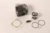 P050005321 Piston & Cylinder Kit CS8000 QV8000 P050005320,Replacement for Echo OEM view 1