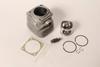 P050005321 Piston & Cylinder Kit CS8000 QV8000 P050005320,Replacement for Echo OEM view 2