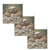 Sletend Newborn Face Towel Sloth Money Dollar Baby Washcloths 11.8"X11.8" Soft Cotton Infants Girls Boys Muslin Burp Cloths 3 Pack view 1