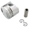 Scooter 39mm Piston Kit For Lets4 Lets5 Address UZ50 Lets 50cc 12111-32G00 12140 10mm view 3